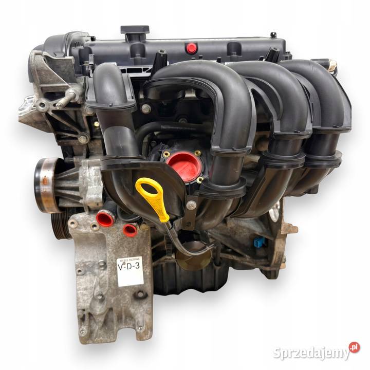SILNIK SHDA Ford Focus II MK2 C C 16 16V 100 Chełm sprzedam