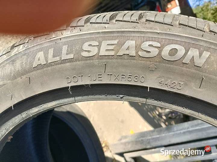 2 Opony wielosezonowe 19 Opony i felgi Polkowice
