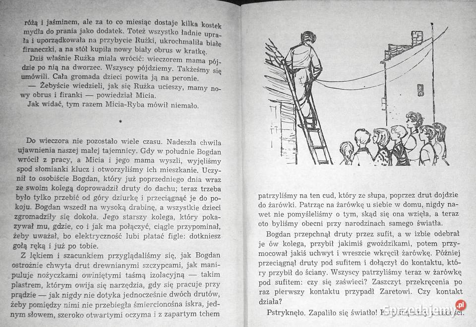 Żegnaj wielka tajemnico Mira Aleckovic twarda Pozostałe Chełm