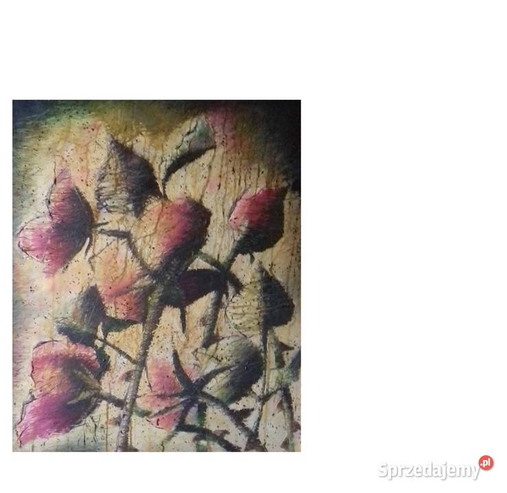 Tornada Róże Jarosław