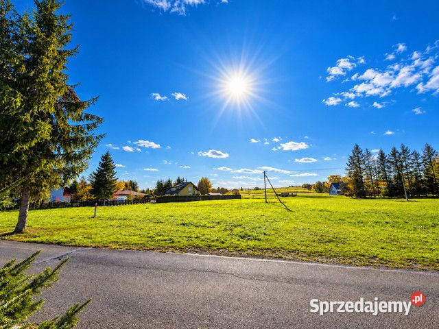 Działka na sprzedaż Humniska 8113m2 sprzedam
