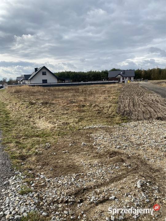 Działka budowlana lesie projekt i pozwolenie w Legnica