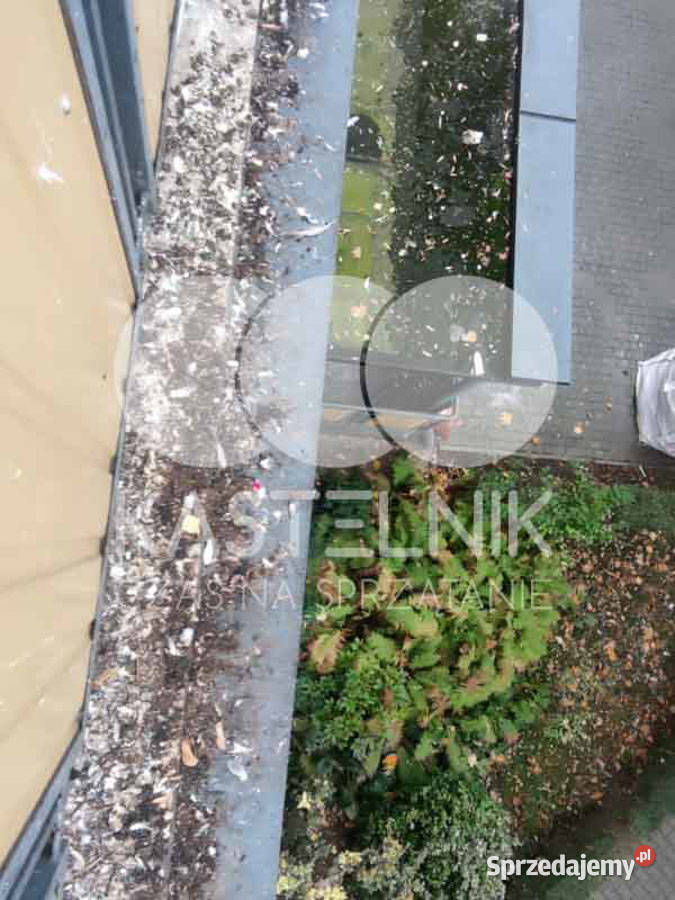 Sprzątanie gołębiach Gdynia Kastelnik mycie