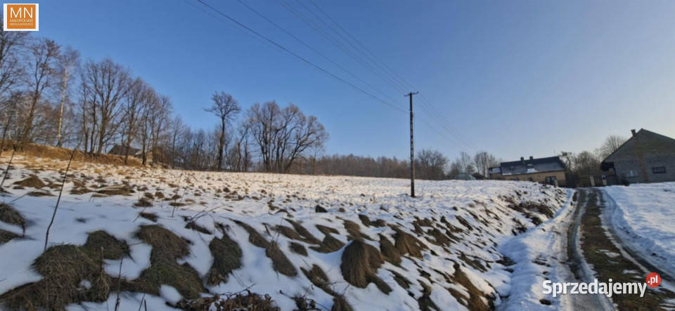 sprzedaży gruntu 1638m2 Krzywaczka