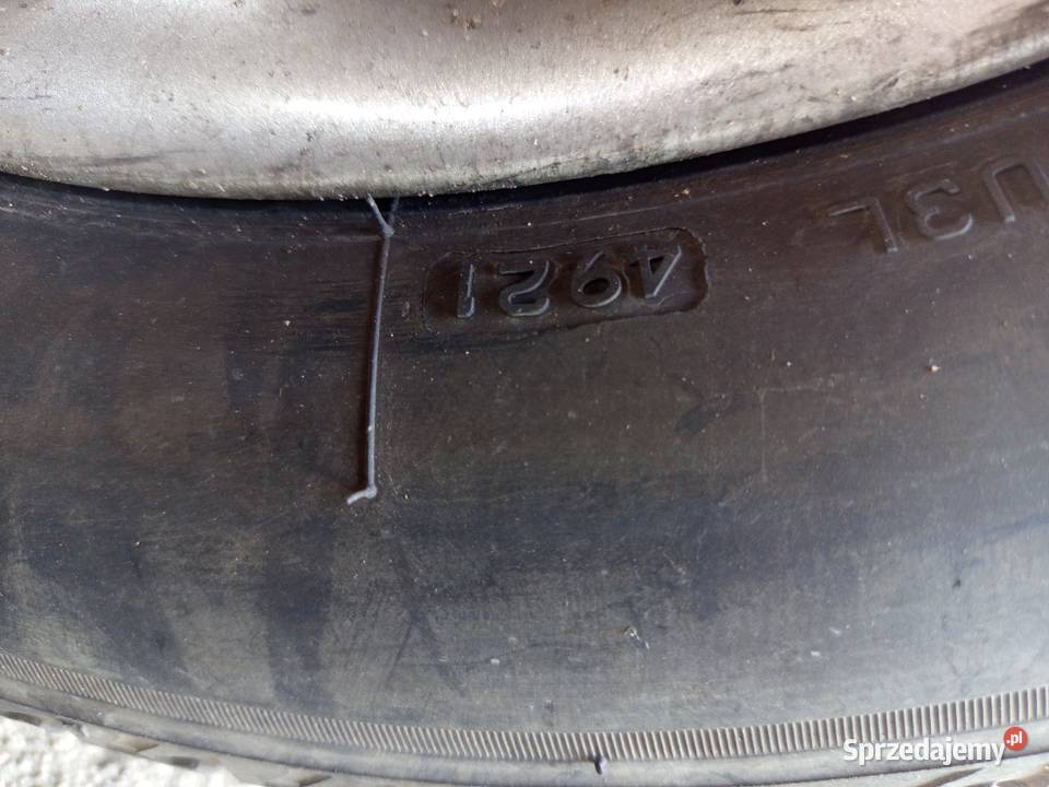 Opona letnia Bridgestone 16 Radom