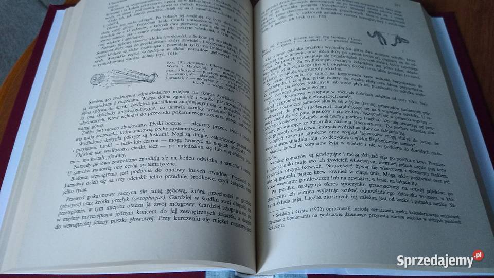 Arachnoentomologia lekarska red Zbigniew pomorskie Gdańsk