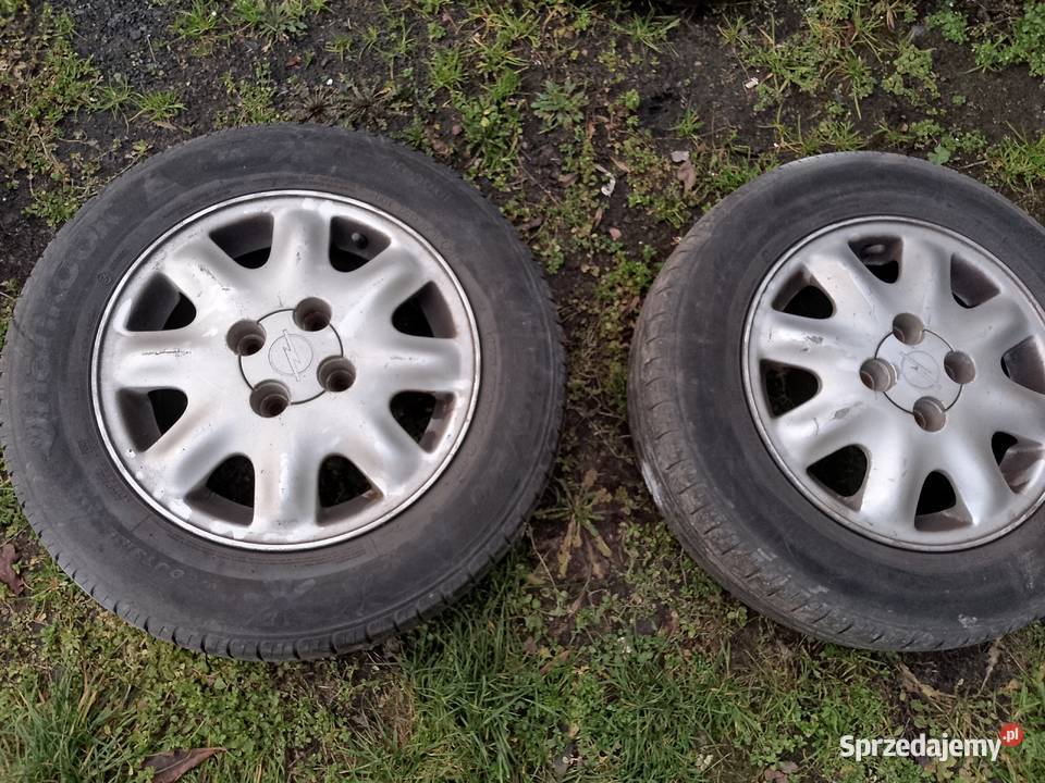 Kłos letnie 17570R14 Myszków