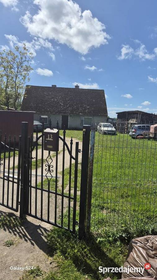 Sprzedaż domu z plantacją borówki Świeszyno