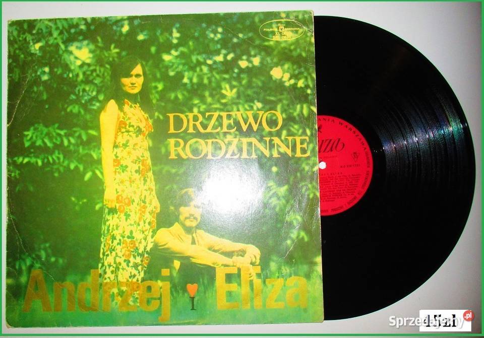 Wielki romans Waldemar Kocoń płyta winylowa1977 płyta winylowa Muzyka Łódź