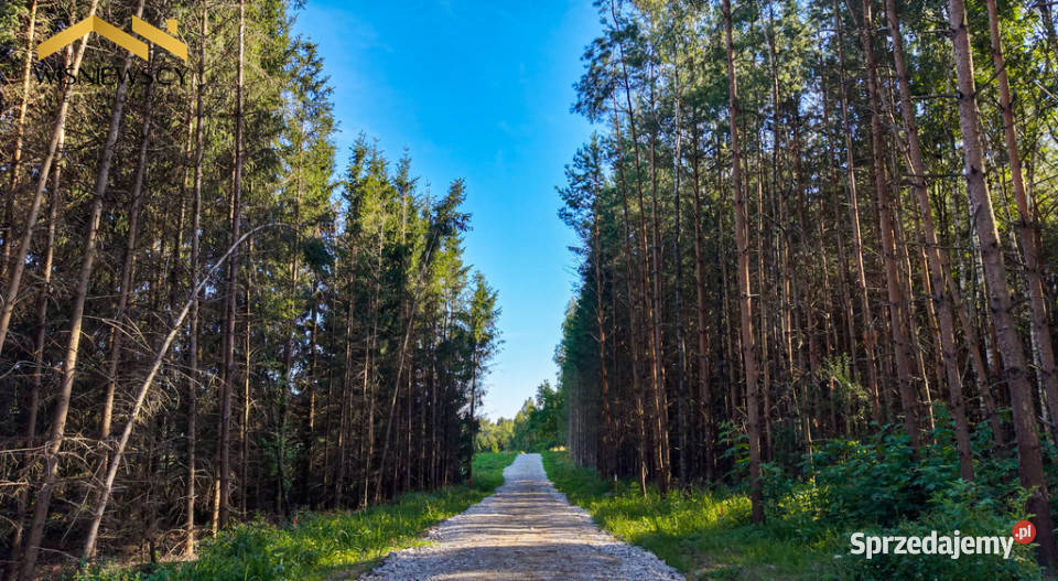 Działka 1028 m z WZ wśród natury Rogowo