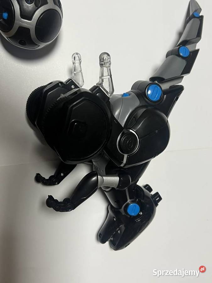 Robot sterowany MiPosaur zdalnie Koźmice Wielkie