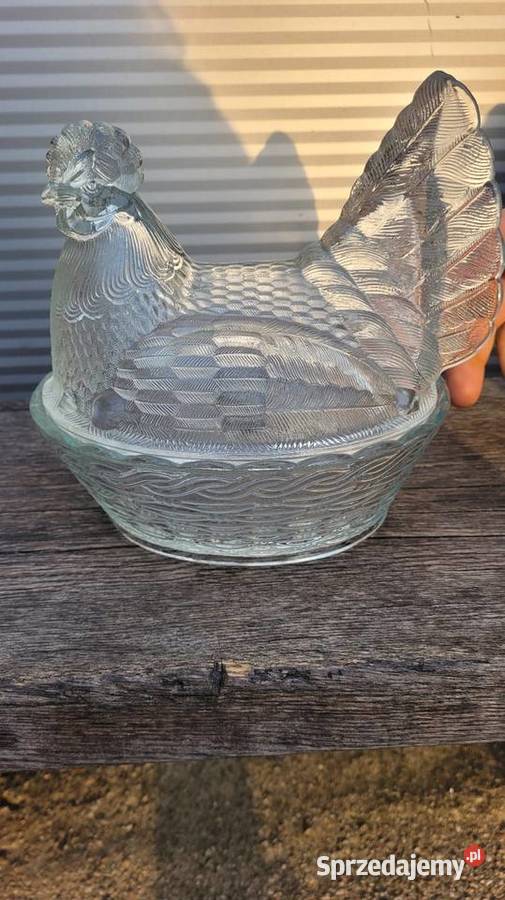 Duża kura prl Ciechanowiec