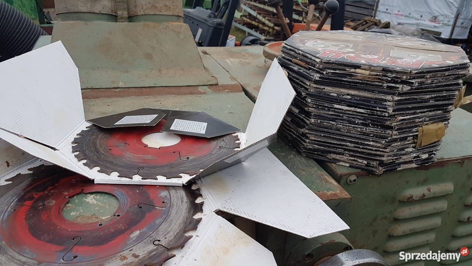 tarcza piła do wielopiły pomorskie Karsin