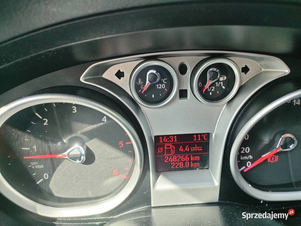 Ford Focus mk2 16 Tdci Focus Domostawa sprzedam