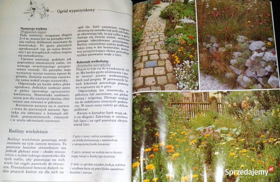 Pomysłowe urządzanie ogrodu Susanne i Sabine Chełm