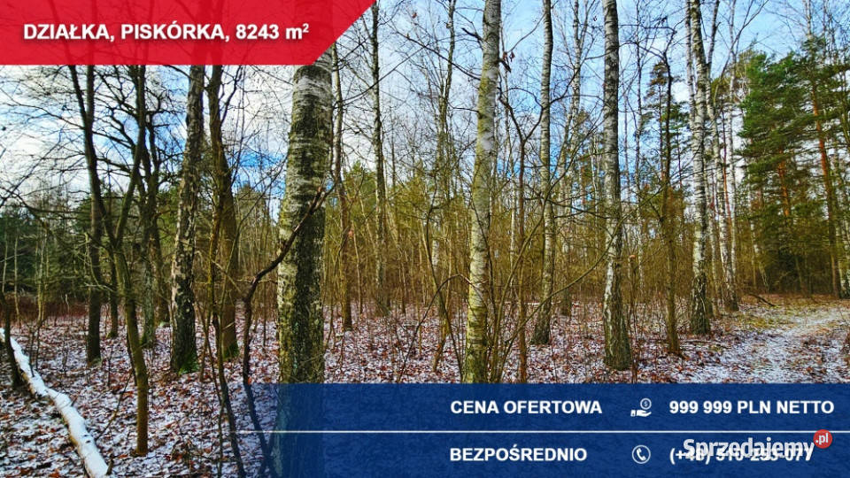 działka lesie z doskonałym dojazdem 8243 m