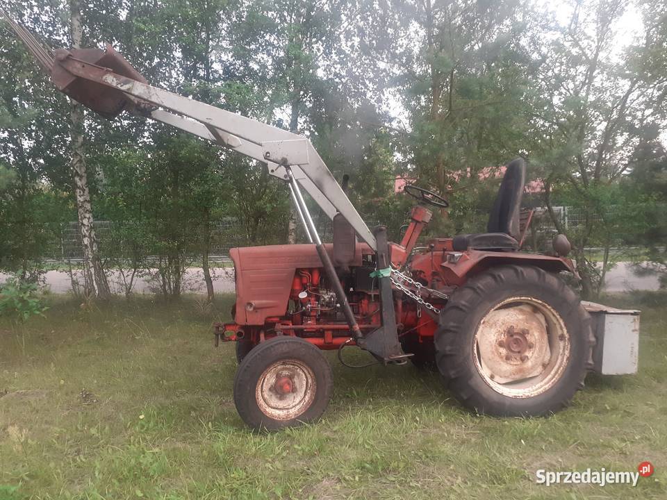 T25 wladimirec Ruski z turem Siedlce