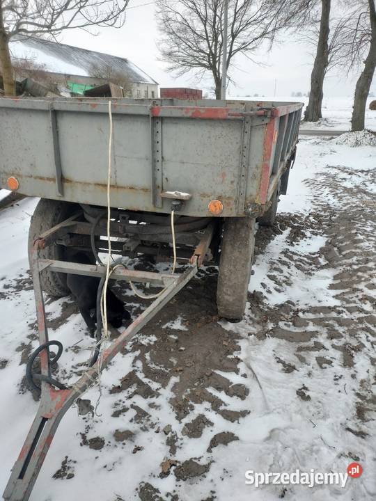 Przyczepa 3 t D44B sztywna autosan Ford Przyczepy rolnicze Bielki