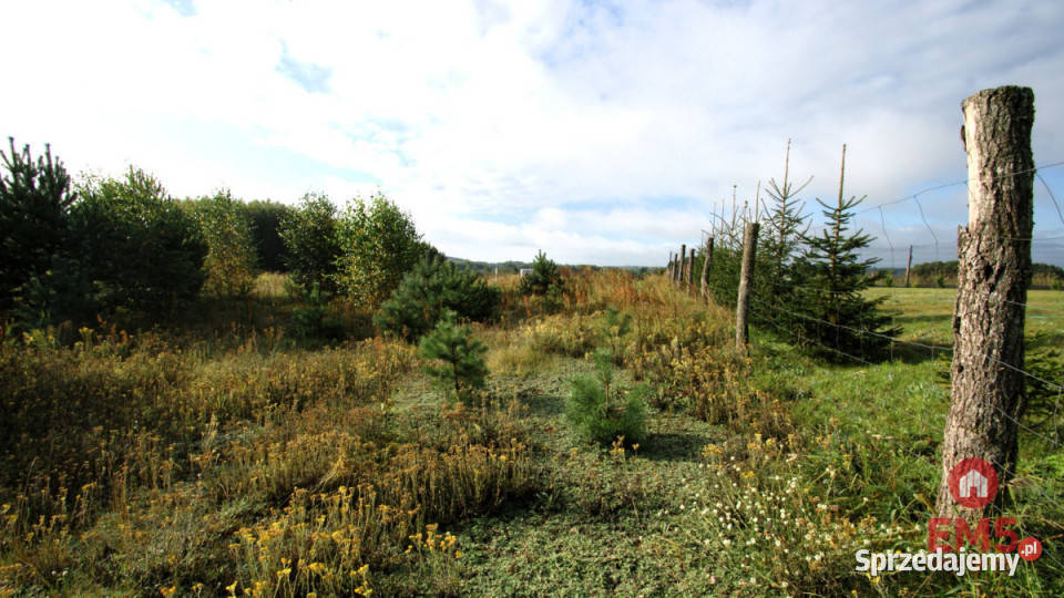 Działka 2806m2 Klimki sprzedam