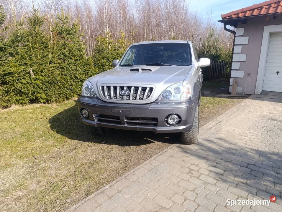 Hyundai terracan 29 2004r manualna Hyundai Borzechowo sprzedam