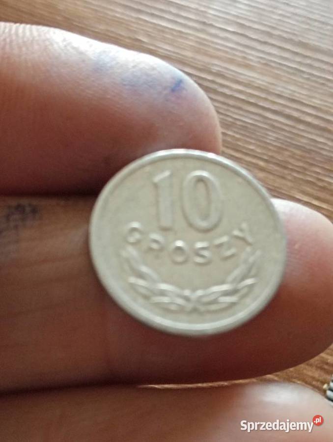 Sprzedam monete 10 groszy 1973 r zzm Chełm sprzedam