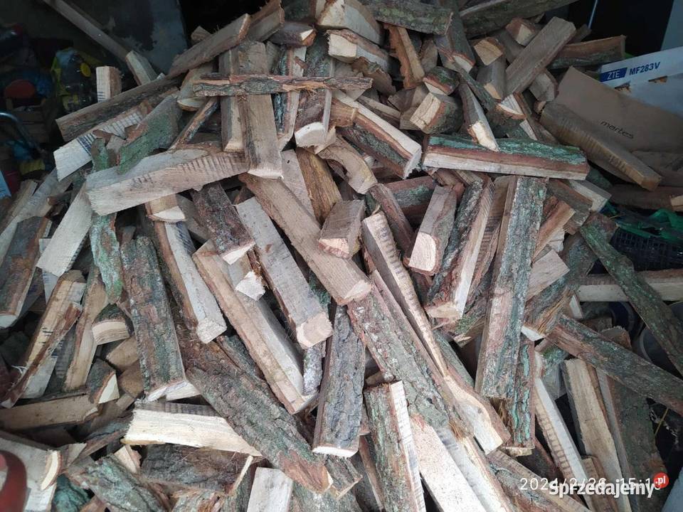 Drzewo dębowe opałowe Lublin