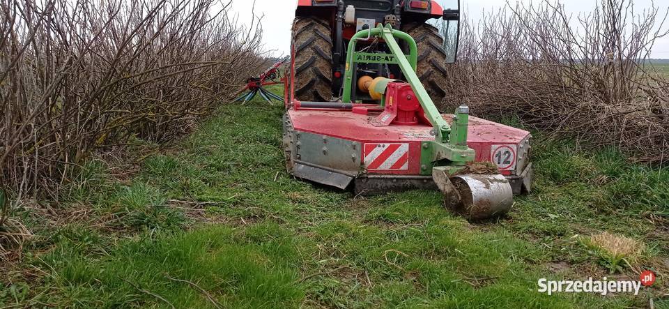 Podcinanie krzewów porzeczki agrest itp Fajsławice