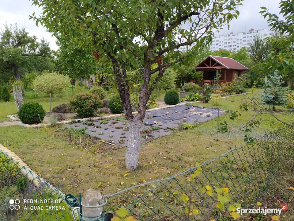 Ogródek działkowy Kopernik Legnica