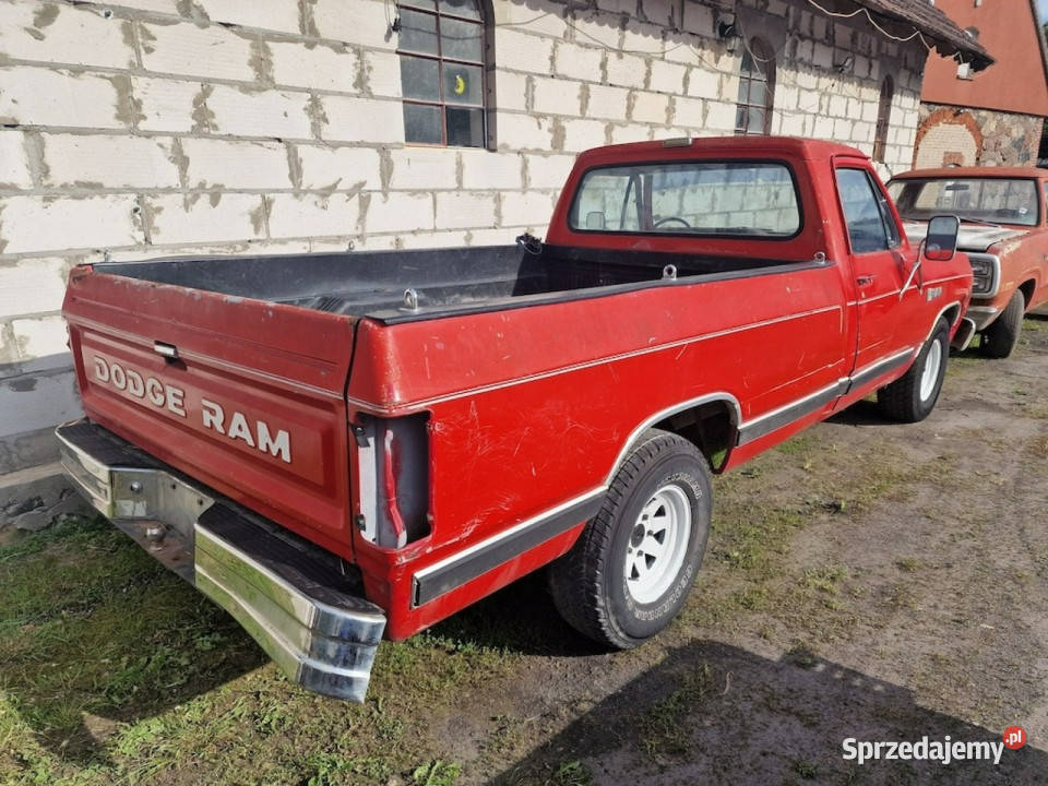Dodge RAM Dodge Ram D100 Rocznik 1987 Silnik 318 RAM Sulechów