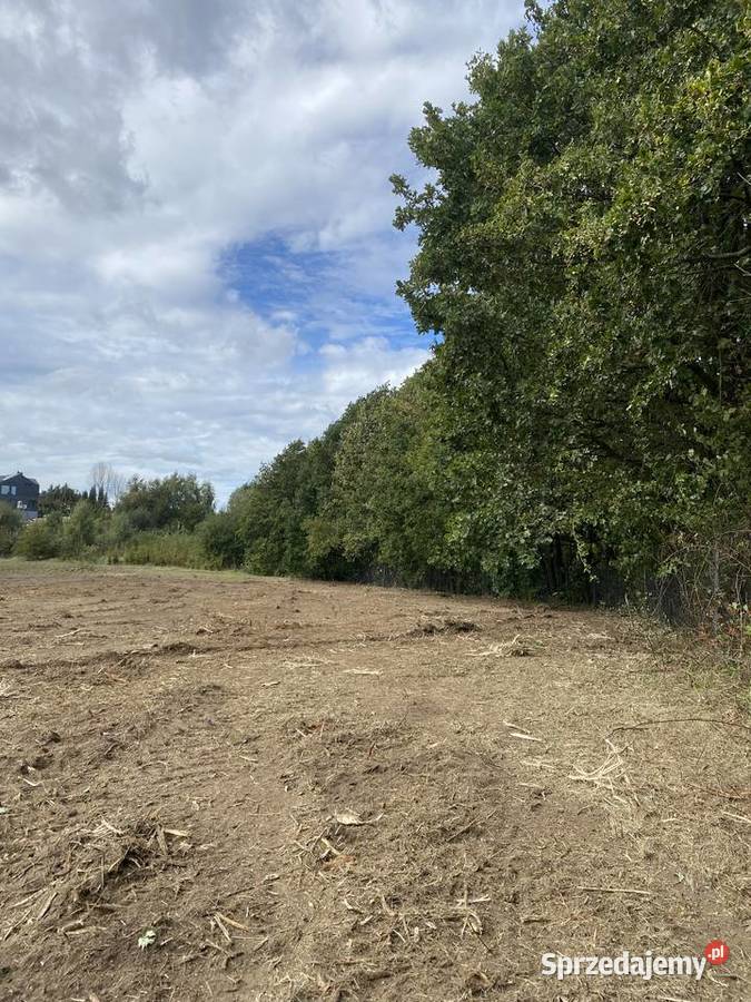Karczowanie działek pod inwestycje Zagórze