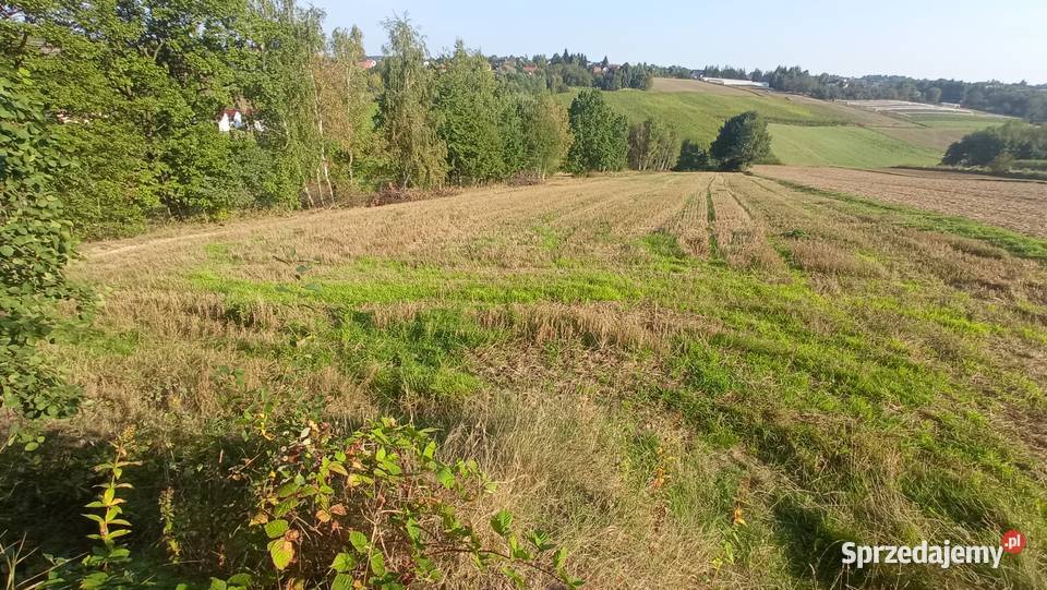 Rolna z potencjałem Owczary