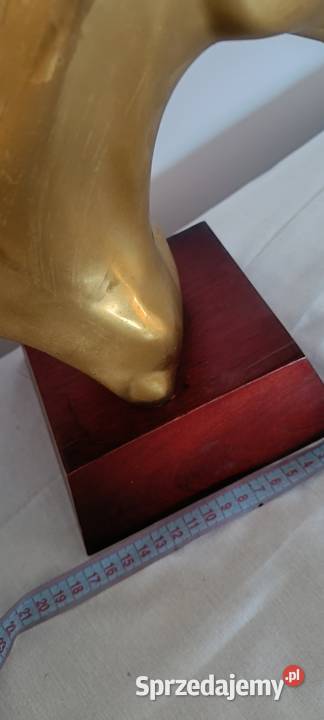 Głowy konia wykonane z mosiądzu Konie małopolskie Tarnów