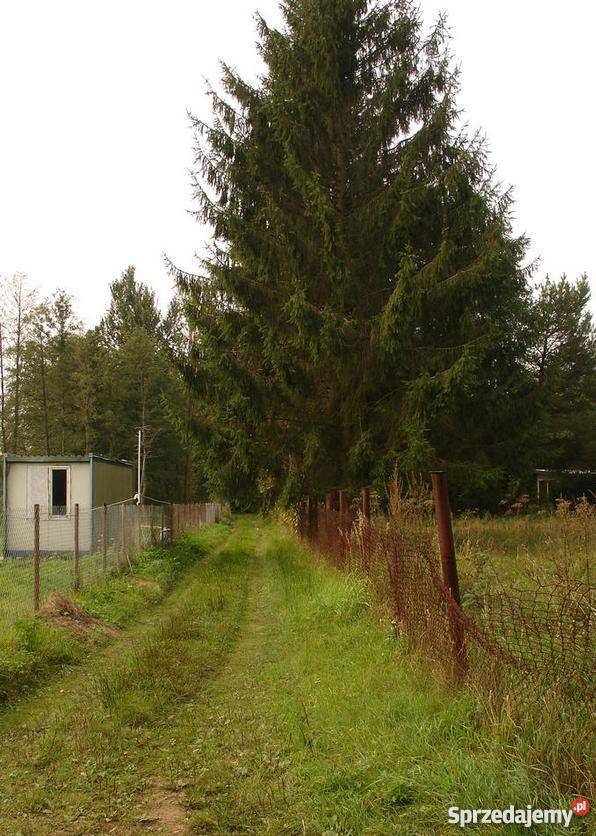 Działka Narwią rekreacyjno budowlana wędkarzy 37m Pogorzelec