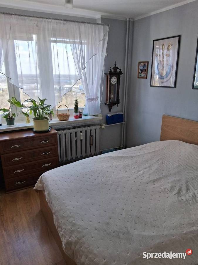 Mieszkanie 488m wielkopolskie Poznań