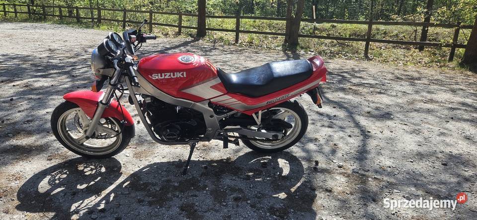 GS 500 gaźnik do regulacji zimowym postoju dolnośląskie Chocianów