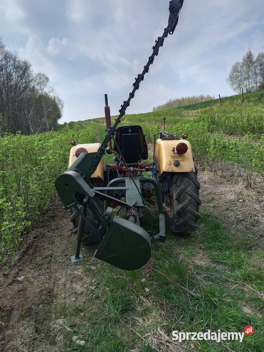 Podcinacz do porzeczek aronii malin Łańcut sprzedam