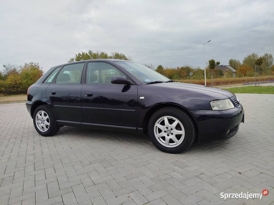 A3 8L 16 Benzyna 2002 wersja 5 DRZWI poduszka powietrzna Świdnik