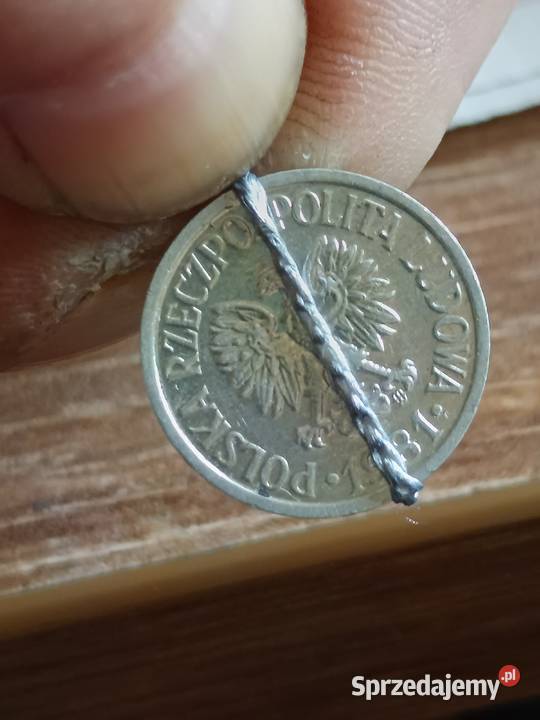 Sprzedam 10 gr 1981 r lekka skretka Chełm