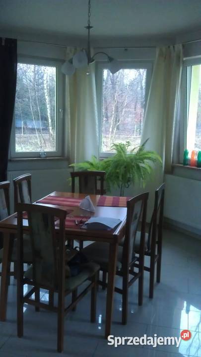 Dom w lesie wolnostojący Sprzedaż lubuskie Słone