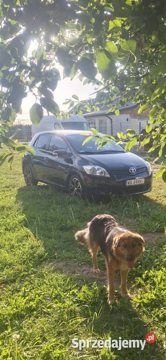 Sprzedam Toyote Auris mazowieckie