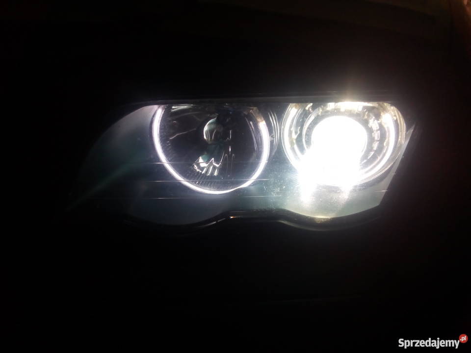 BMW e46 bananowe skóry alu 17 lampy ksenon benzyna Kowalki