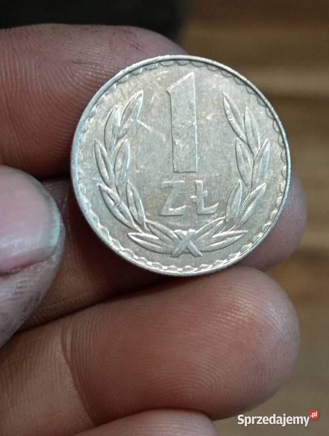 Sprzedam monete 1 zloty 1981r lubelskie Chełm