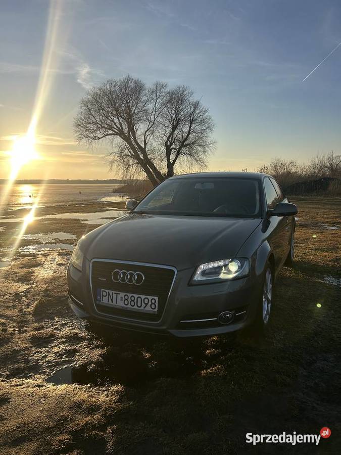 Audi A3 8p Quattro 18 TFSI 160 Dąbrówka Wielkopolska