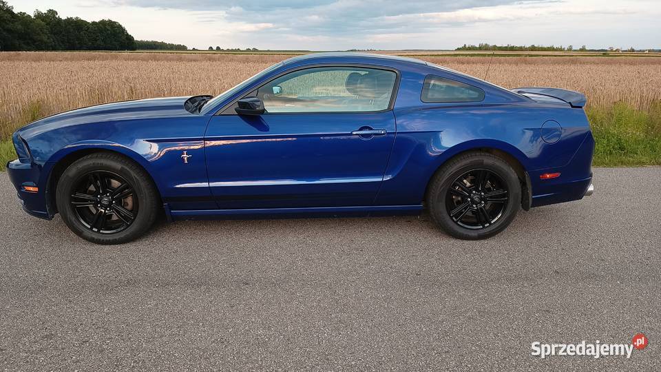 Ford Mustang 37 Premium manual Mustang Nowy Kawęczyn