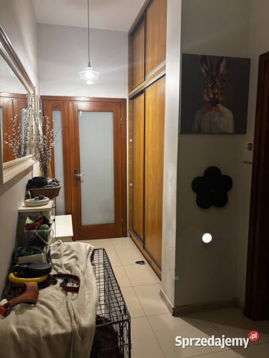 3 pokoje z ogródkiem 6728 m Wolki Liczba pokoi 3 Nowy Sącz