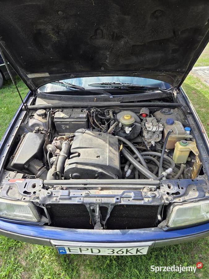 Audi 80 b4 19Tdi Kombi Pęczniew