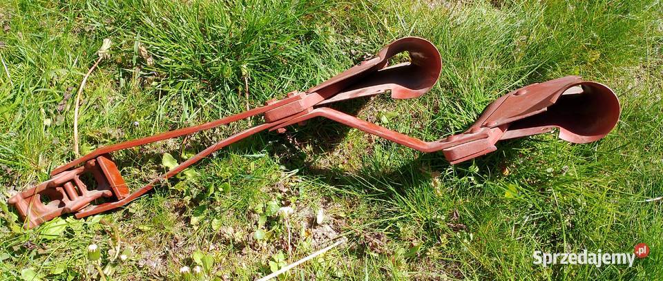 Redlica skrajna Lewa Siewnik Poznaniak 304334001 Tyczyn