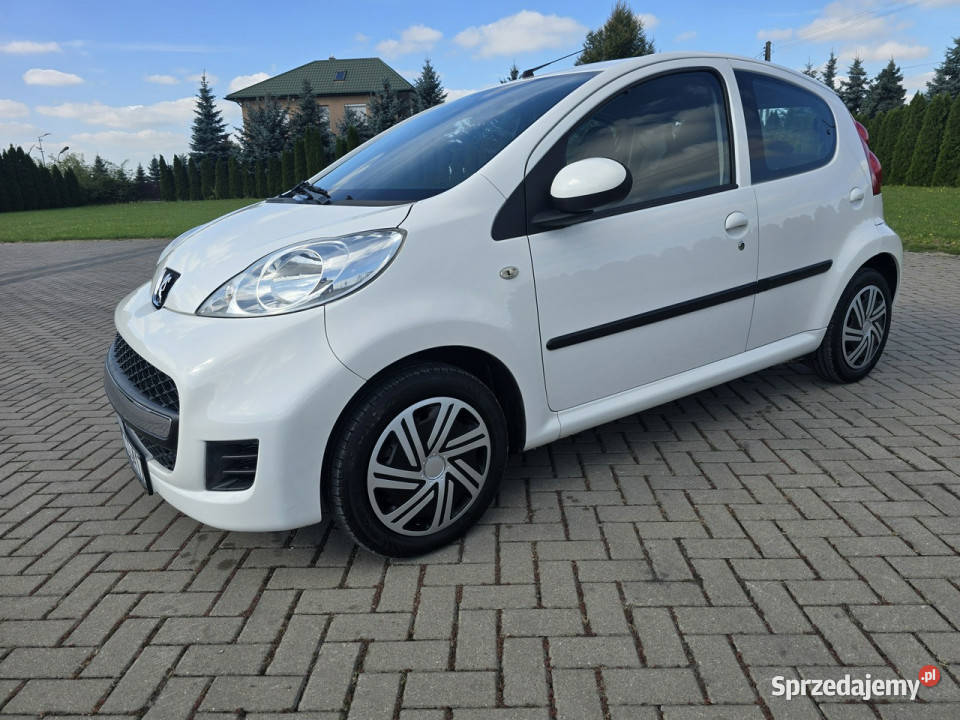 Peugeot 107 10benz lakier metallic Kutno