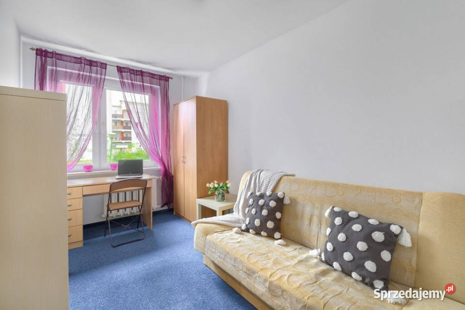 3 pokoje na Grunwaldzie Poznań