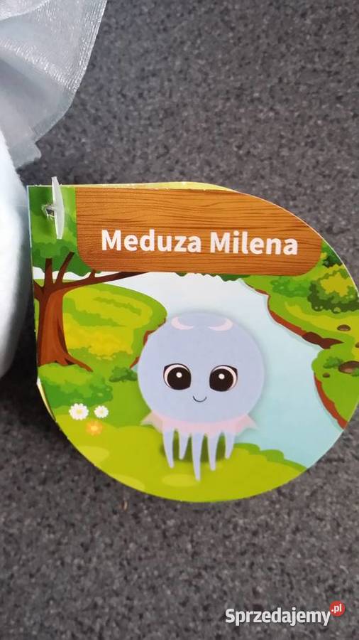 Nowynieużywany Magiczny swojak śląskie Gliwice